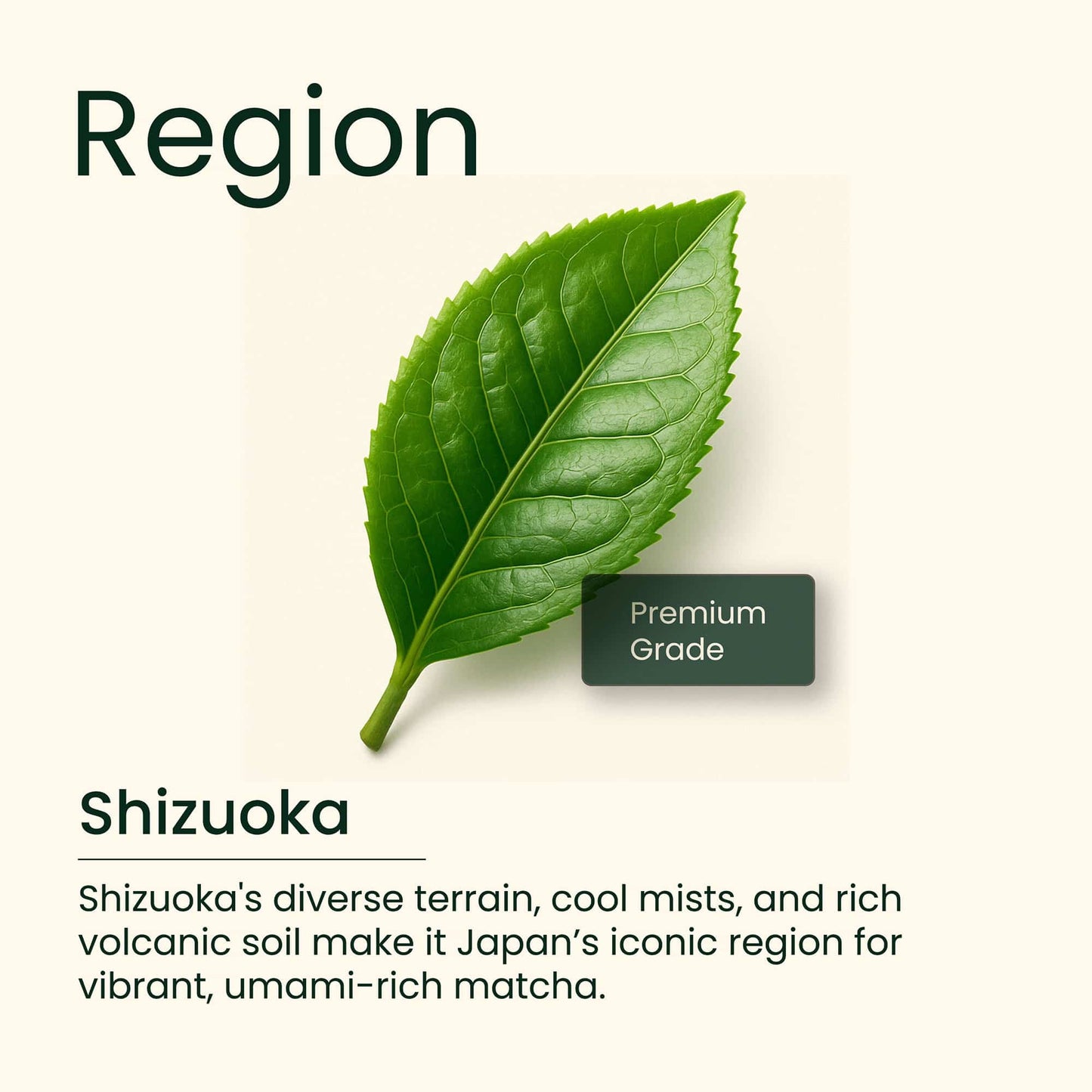 Japanese Matcha Green Tea (Premium Grade), 50g