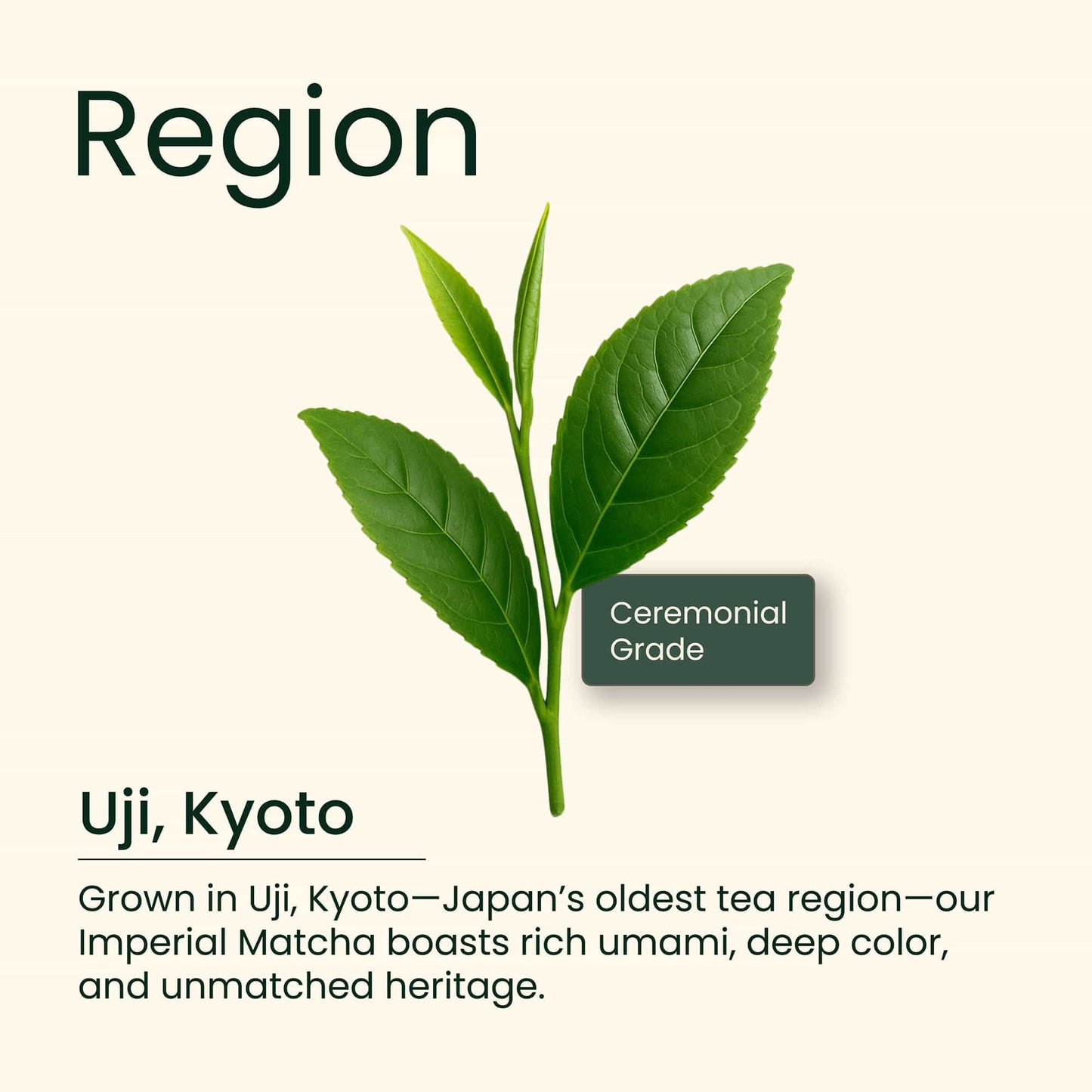 Ceremonial Matcha Green Tea (Imperial AAA Grade)