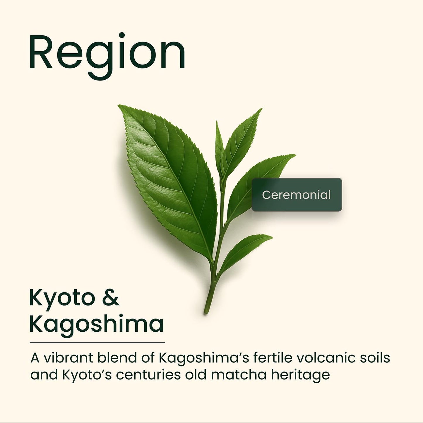 Matcha Starter Kit, (30g Ceremonial Grade Matcha + Bamboo Whisk + Scoop) Gift Set