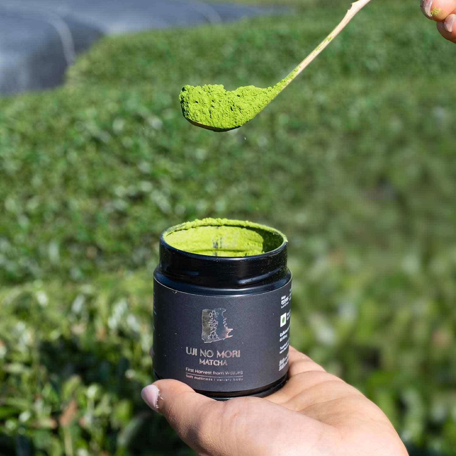 Matcha tin can in field