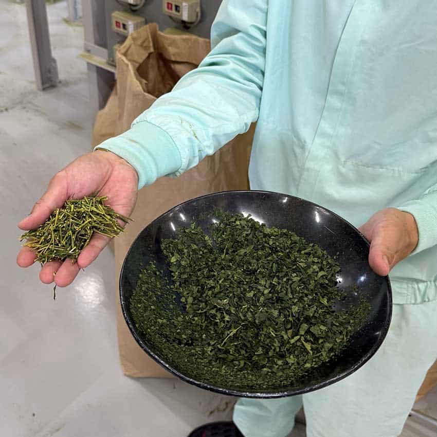 De steming tencha leaves