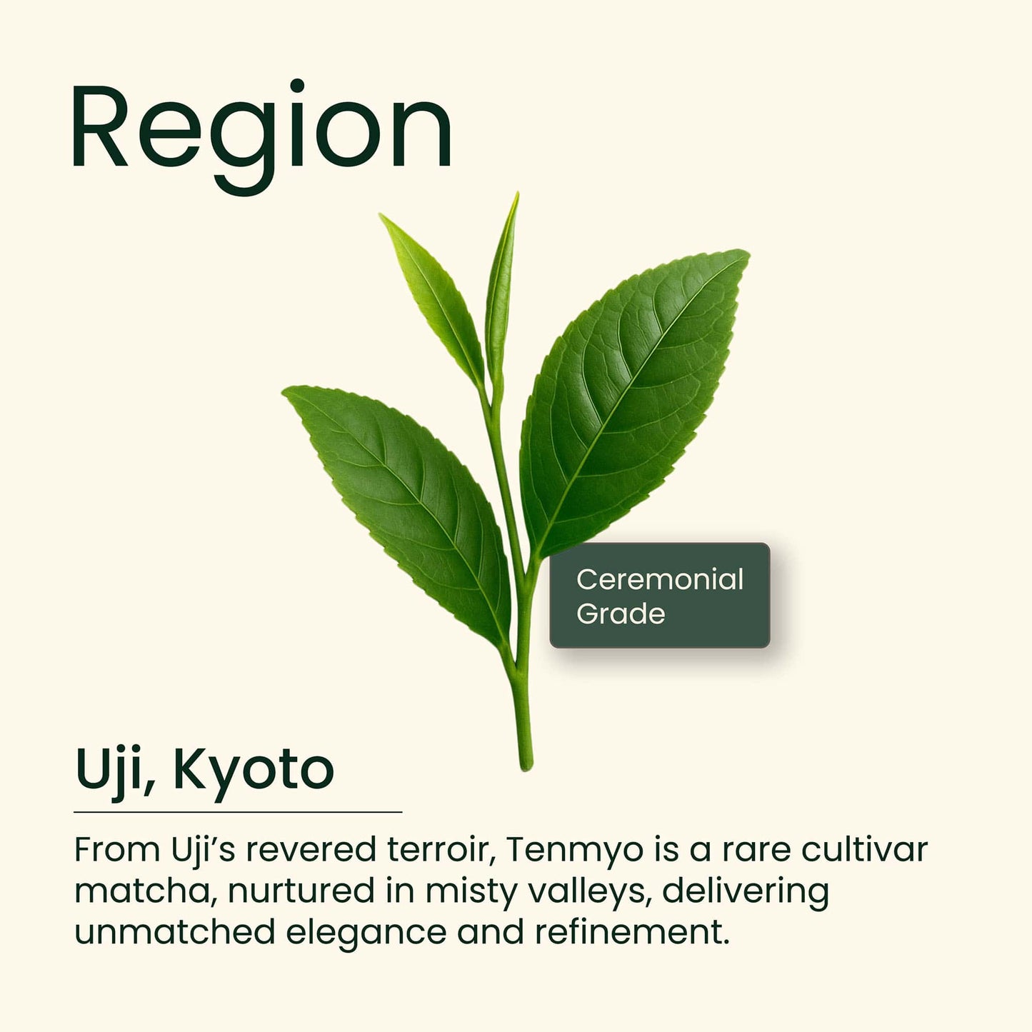 Tenmyo Cultivar Uji Matcha, 30g (Limited Edition)