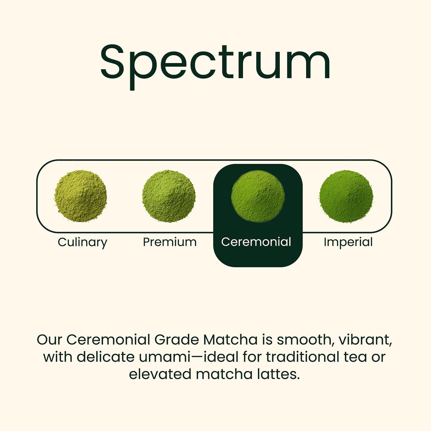 Matcha Starter Kit, (30g Ceremonial Grade Matcha + Bamboo Whisk + Scoop) Gift Set