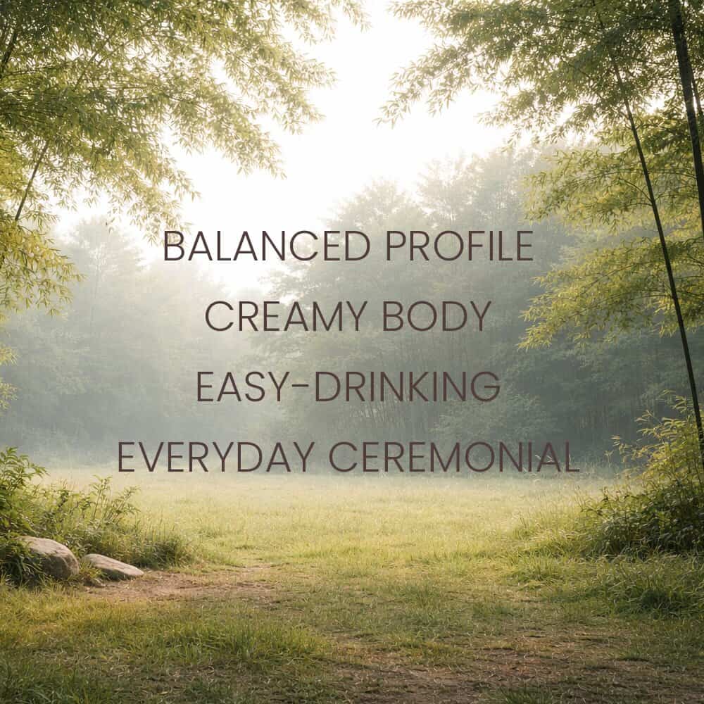 Ceremonial Matcha Green Tea, 100g BARISTA pack